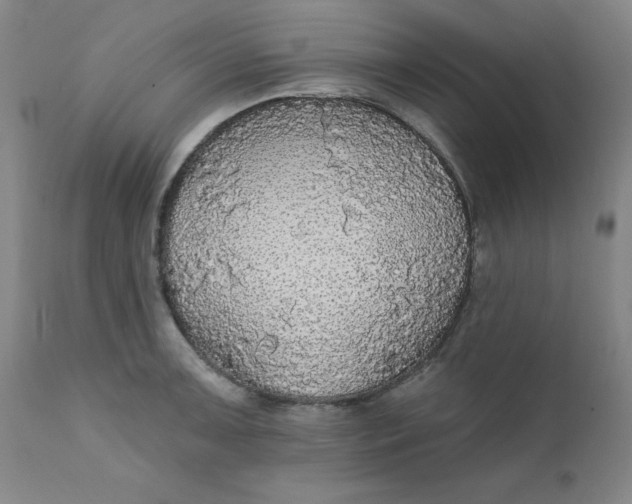 X0000112431091200909041430