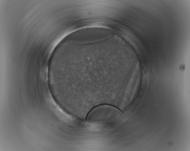 X0000112431092200909041430