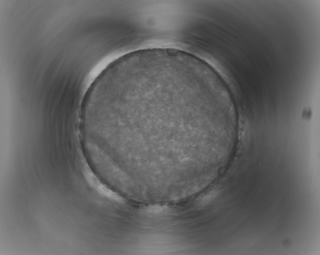 X0000112431094200909041430