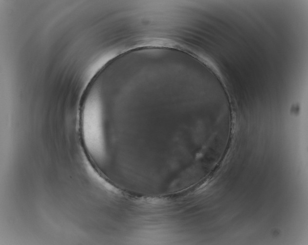 X0000112431095200909041430