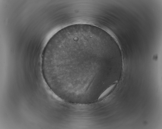 X0000112431096200909041430