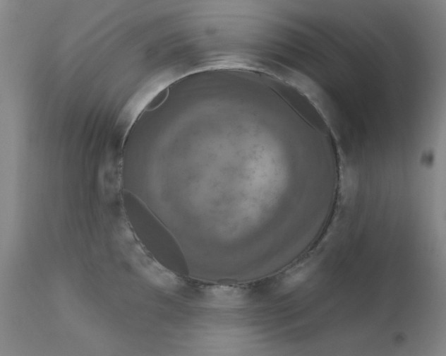 X0000112431097200909041430