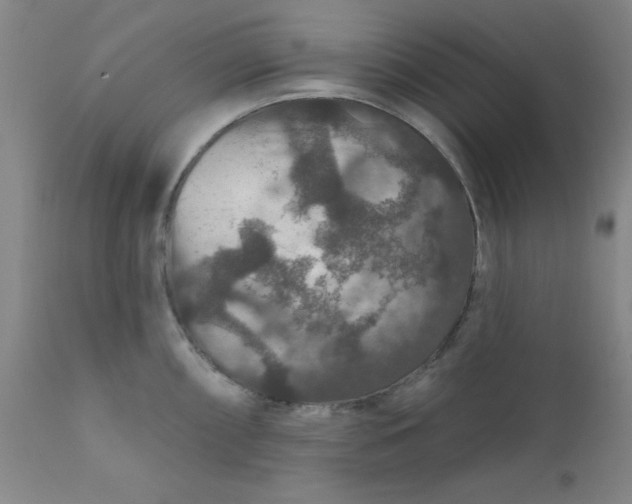 X0000112431098200909041430