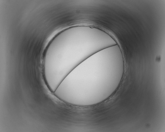 X0000112431099200909041430