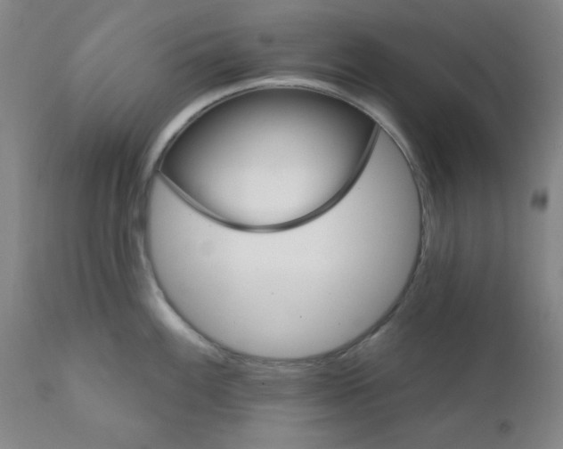 X0000112431100200909041430