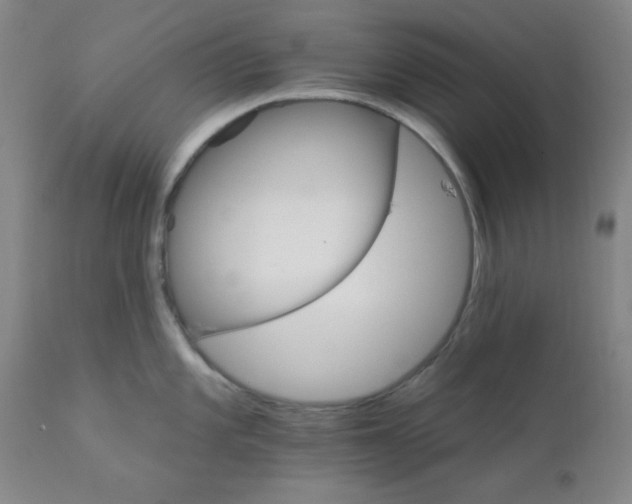 X0000112431101200909041430