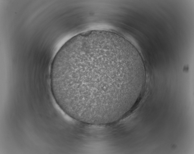 X0000112431103200909041430