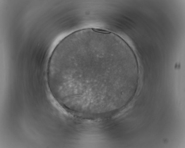 X0000112431104200909041430