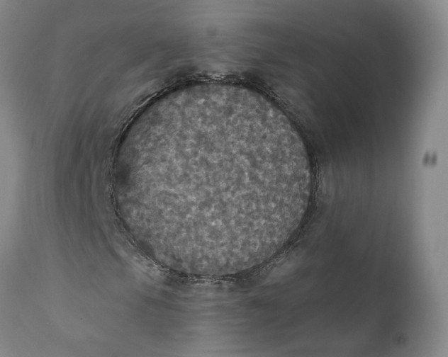 X0000112431105200909041429