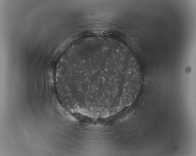 X0000112431106200909041429