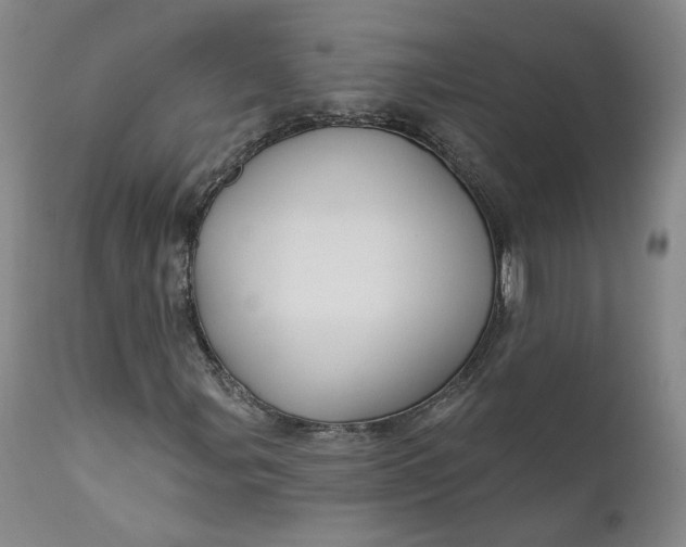 X0000112431107200909041429