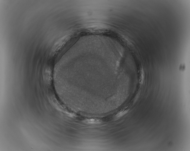 X0000112431108200909041429