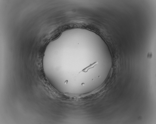 X0000112431109200909041429