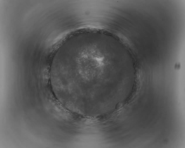 X0000112431110200909041429