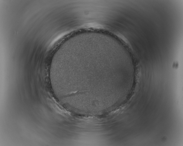 X0000112431112200909041429