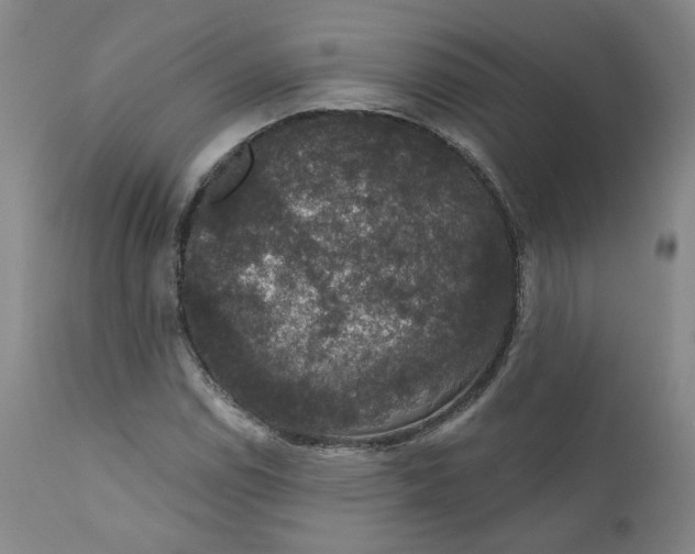 X0000112431114200909041429