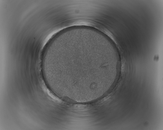 X0000112431116200909041429