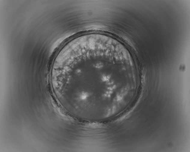 X0000112431117200909041429