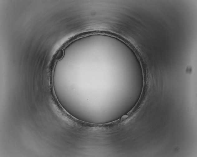 X0000112431118200909041429