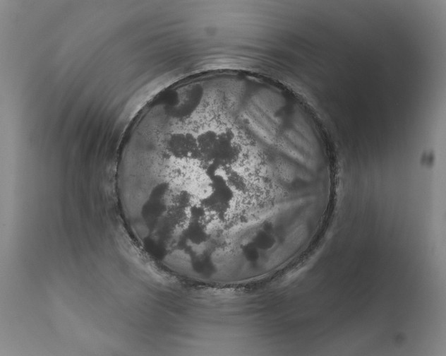 X0000112431121200909041430