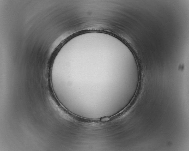 X0000112431122200909041430