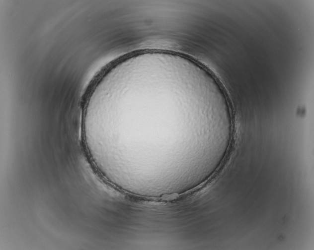 X0000112431123200909041430