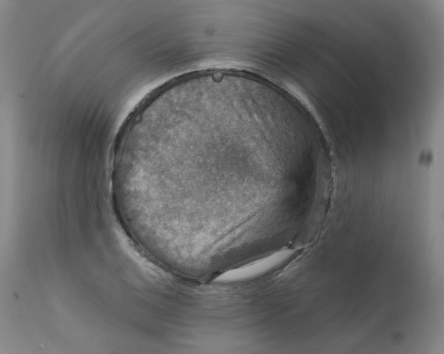 X0000112431124200909041430