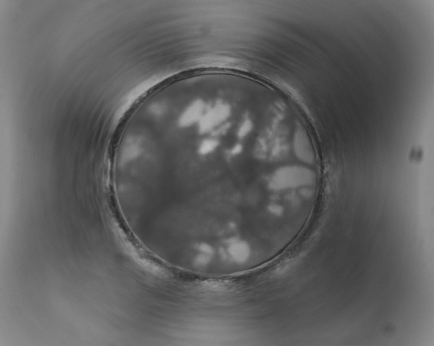 X0000112431125200909041430