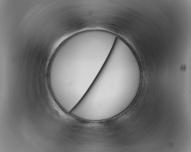 X0000112431127200909041430