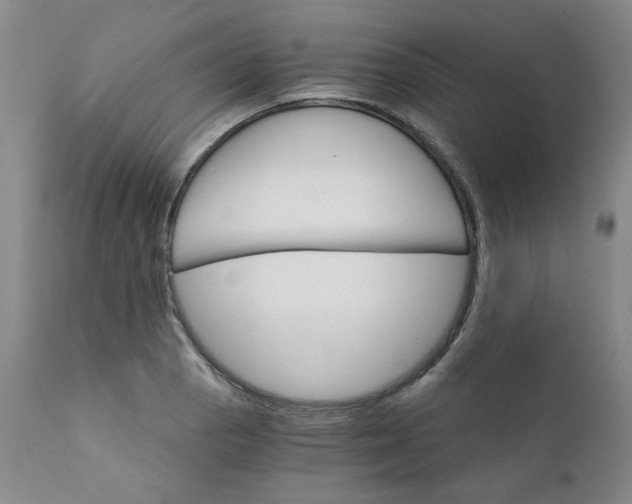 X0000112431129200909041430