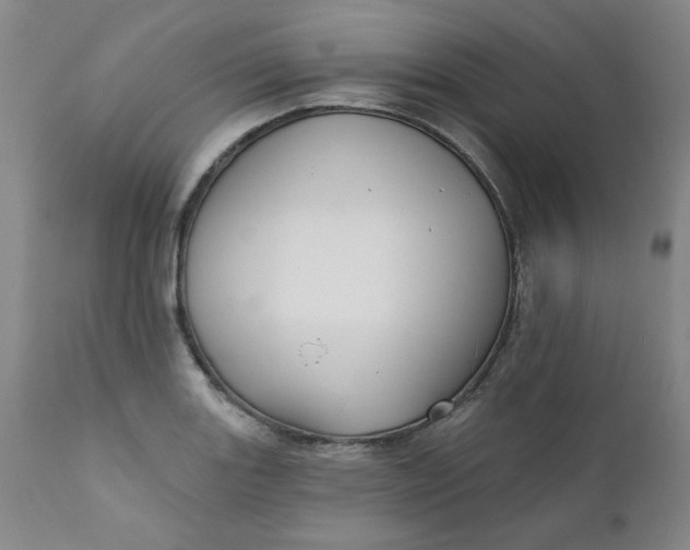 X0000112431131200909041430