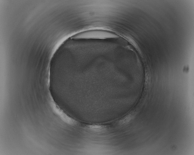 X0000112431132200909041430