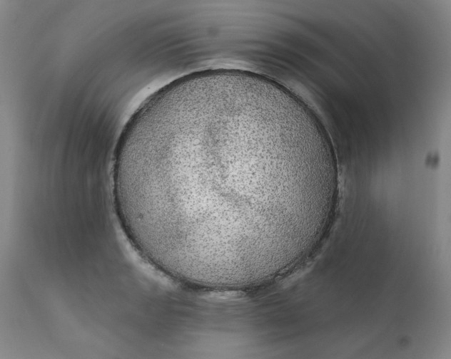 X0000112431133200909041430