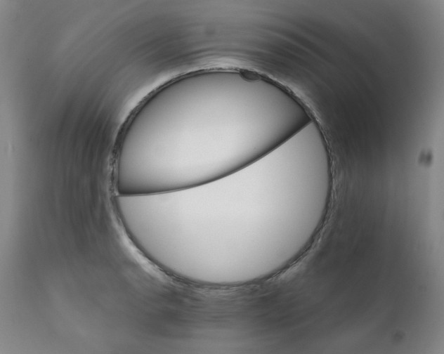 X0000112431134200909041430