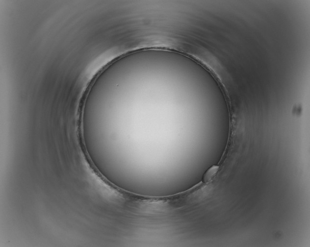 X0000112431135200909041430