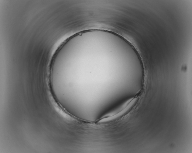 X0000112431136200909041430