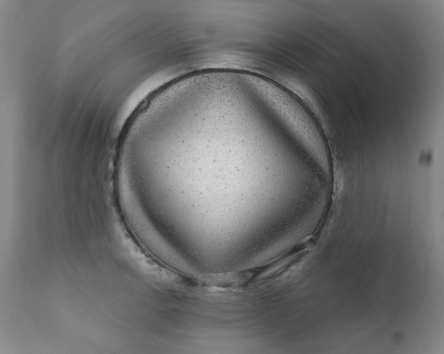 X0000112431138200909041430