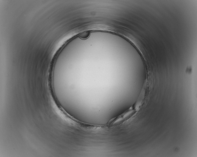 X0000112431139200909041430