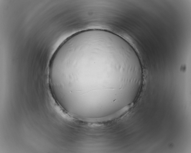 X0000112431140200909041430