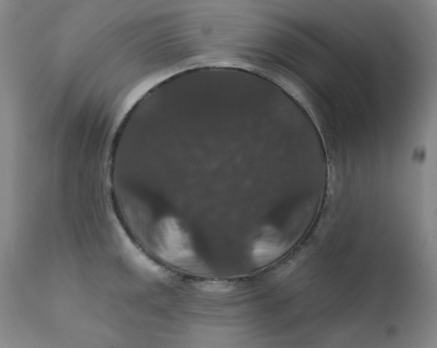 X0000112431141200909041430