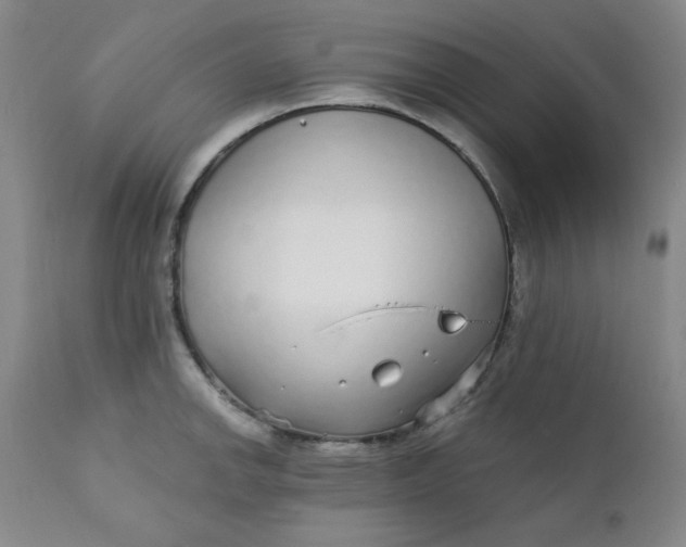 X0000112431142200909041430