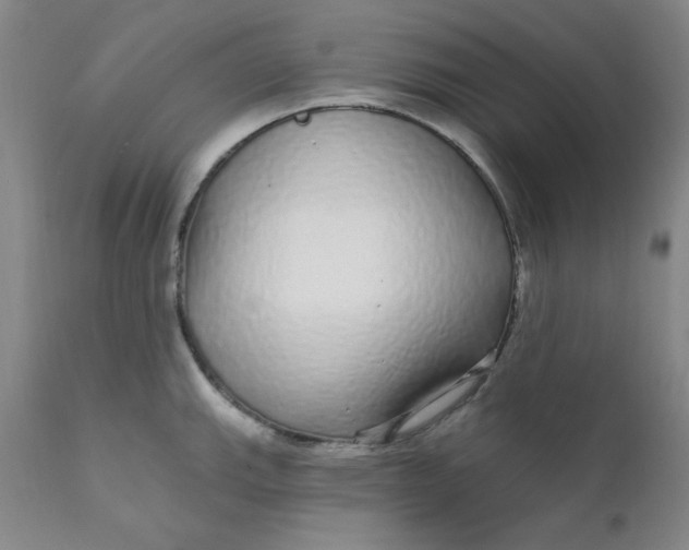 X0000112431143200909041430