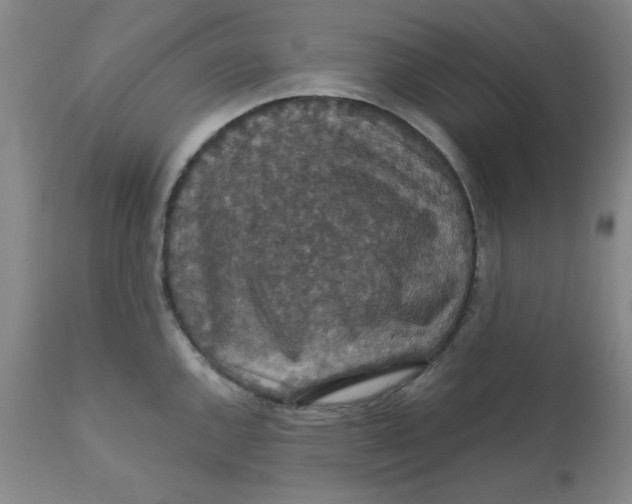 X0000112431144200909041430