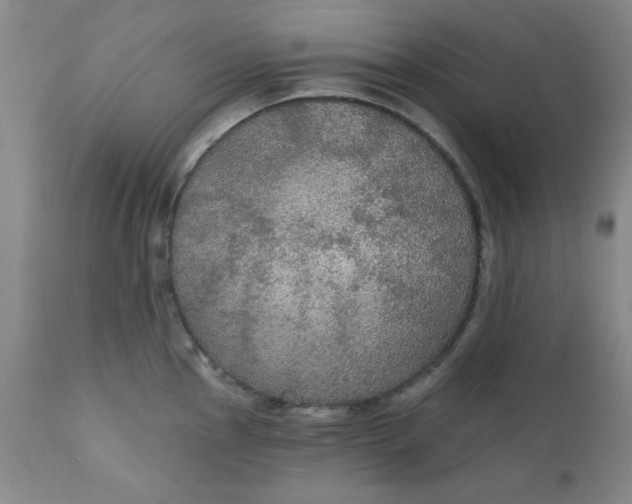 X0000112431145200909041430