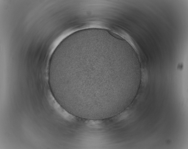 X0000112431148200909041430