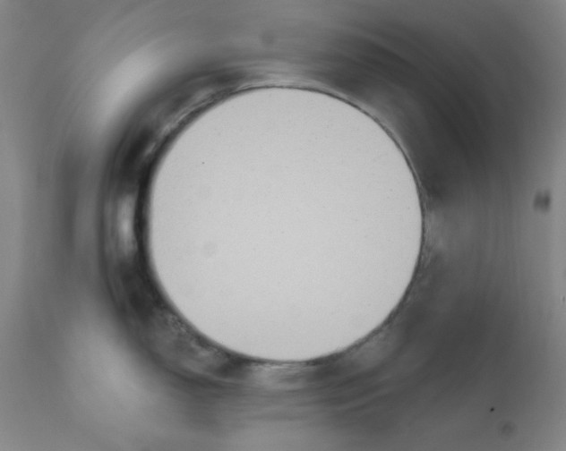 X0000112431150200909041430