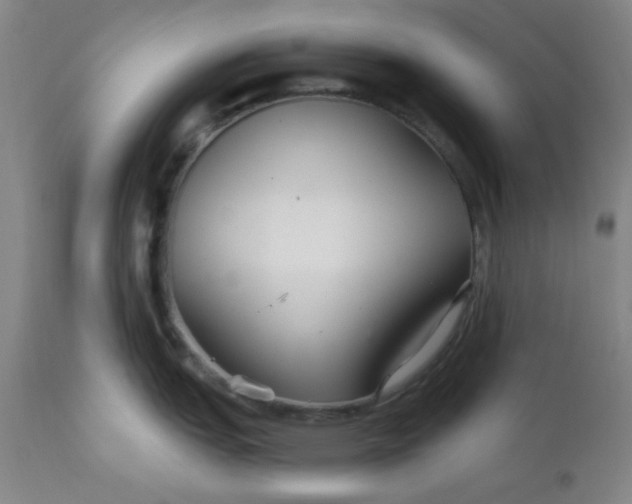 X0000112431151200909041430