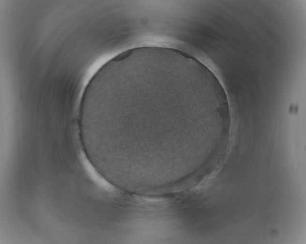 X0000112431152200909041430