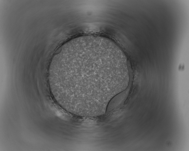 X0000112431153200909041429