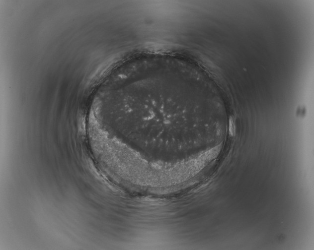 X0000112431155200909041429